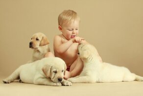 Дети и их верные друзья. Часть 1