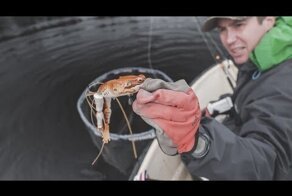 Почти настоящая ЛЯГУШКА для щуки. Ловля щуки на лягушку