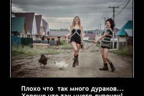 Демотиваторы: счастье, дети, карантин