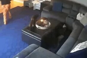 Понедельничные Кубики