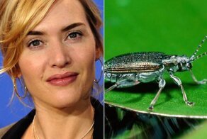 10 видов существ, названных в честь знаменитостей