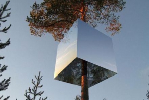 Удивительный дом на дереве (10 Фото)