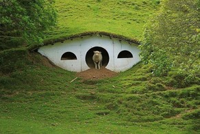 Хоббленд - деревня хоббитов из Властелина Колец (9 Фото)