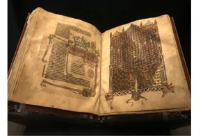 Домашний тлен: токсины черной плесени