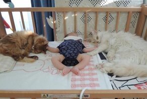 Няни, прошедшие через огонь и воду