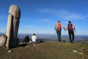 В Германии неизвестные украли с горы огромный деревянный фаллос