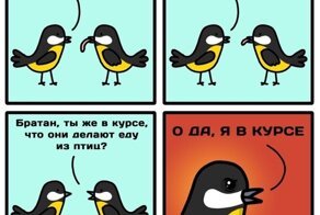 Синицы и их специфические вкусы