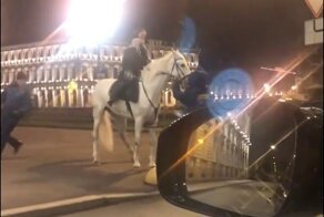 В Санкт-Петербурге всадницы подрались с охранниками