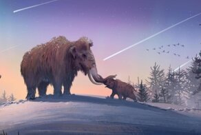 Мамонтятина жареная