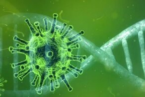 COVID-19 и BLM: Twitter назвал самые обсуждаемые темы этого года