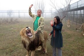 «Тайган» и арифметика