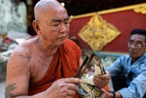 Буддийский монах устроил приют для змей в монастыре