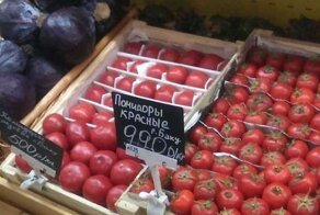 РФ санкционировала запрет на импорт яблок и томатов из Азербайджана из-за антисанитарии