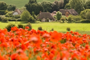 Сказочные домики английской провинции (54 фото + текст)