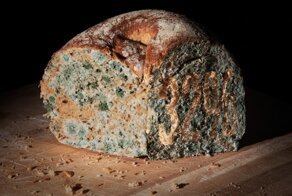 Разрушительные катастрофы, связанные с продуктами питания
