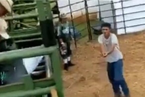 Бык отправил любителя родео в незапланированный полет