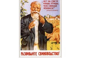Ботулизм на засолку