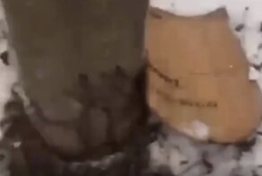 Аварийную опору ЛЭП в Долгопрудном "починили" листом картона