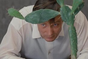 Кубики