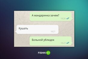 У меня просто появилась крутая идея для этого НГ