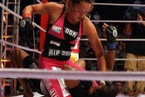 Красотки-участницы боев по смешанным боевым искусствам (69 фото)