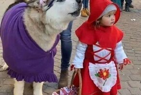 С добрым утром!