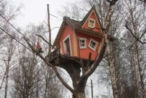 Дом на дереве (6 Фото)