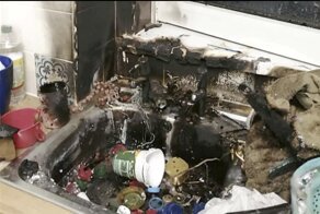 Англичанка приняла гранату за рвоту кашалота и осталась без кухни