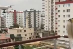 Доставка товара дроном пошла не по плану