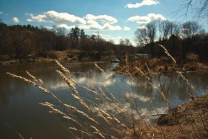 Вот это встреча! Очень неожиданно! (10 фото)