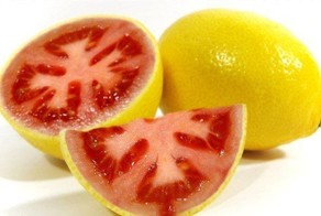 Гибриды овощей и фруктов (20 Фото)