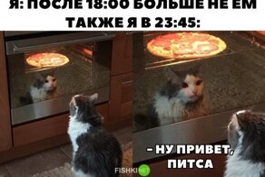 Скрины из социальных сетей
