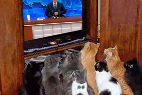 Ежегодная пресс конференция Путина