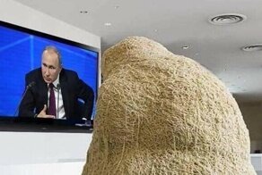 Пресс-конференция Путина в мемах и фотожабах: лучшее