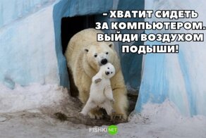 Смешные и познавательные картинки