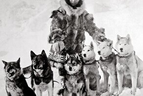 Хаски, спасшие город