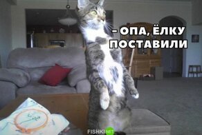 Смешные и познавательные картинки