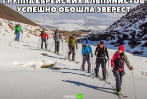 Смешные и познавательные картинки