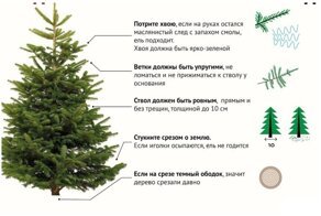 20 занимательных всячин, которые, быть может, пригодятся вам в жизни