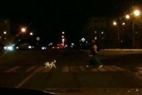 Ой, собака! В Ярославле на пешеходном переходе сбили девушку и ребенка