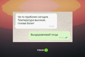 Тотальный контроль за своими сотрудниками