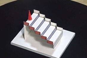 Победители конкурса на лучшую оптическую иллюзию - 2020