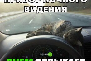 Смешные и познавательные картинки