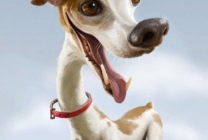 Классные рисунки (49 фото)