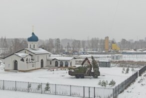 Приключения ёлок