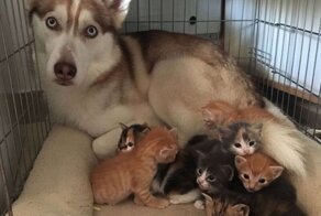 С добрым утром