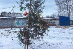 "Какой год - такая елка": в российских городах жалуются на зеленых новогодних калек