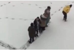 Командное творчество на снегу