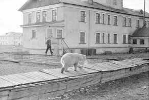 Задачка на сообразительность