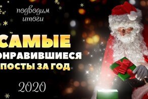 15 самых понравившихся постов 2020 года